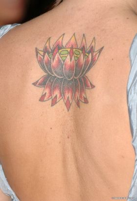 Lotus Tattoos Design