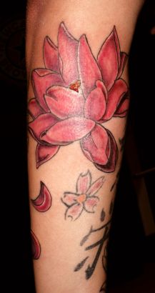 Tattoo Lotus Pics Design