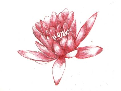 Pink Lotus Tats Free Pic