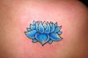Blue lotus image