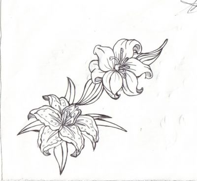 Flowers tattoos, Others tattoos, Tattoos of Flowers, Tattoos of Others, Flowers tats, Others tats, Flowers free tattoo designs, Others free tattoo designs, Flowers tattoos picture, Others tattoos picture, Flowers pictures tattoos, Others pictures tattoos, Flowers free tattoos, Others free tattoos, Flowers tattoo, Others tattoo, Flowers tattoos idea, Others tattoos idea, Flowers tattoo ideas, Others tattoo ideas, flower tattoo free