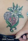 edelweis flower tattoo