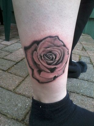 Realism Rose