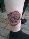 Realism rose