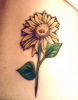 sunflower tattoo