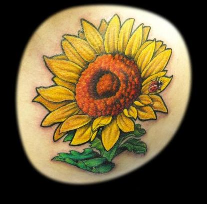 Sunflower Pics Tattoos