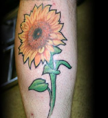 Flowers tattoos, Sunflower tattoos, Tattoos of Flowers, Tattoos of Sunflower, Flowers tats, Sunflower tats, Flowers free tattoo designs, Sunflower free tattoo designs, Flowers tattoos picture, Sunflower tattoos picture, Flowers pictures tattoos, Sunflower pictures tattoos, Flowers free tattoos, Sunflower free tattoos, Flowers tattoo, Sunflower tattoo, Flowers tattoos idea, Sunflower tattoos idea, Flowers tattoo ideas, Sunflower tattoo ideas, sunflower pics tattoo on leg