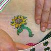 sunflower pic tattoos on lower stomach