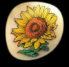 sunflower pics tattoos