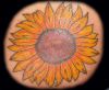 Sunflower tattoos pics design