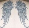 angel wings tattoo