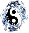 yin yang and dolphin tattoo