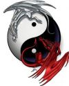 yin yang and dragon image tattoo