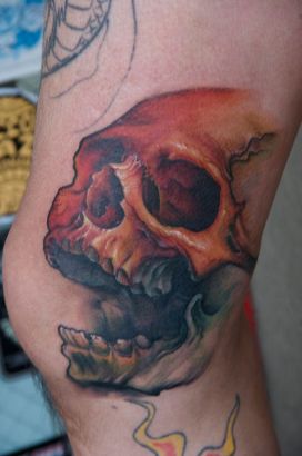 Others tattoos, Skull tattoos, Tattoos of Others, Tattoos of Skull, Others tats, Skull tats, Others free tattoo designs, Skull free tattoo designs, Others tattoos picture, Skull tattoos picture, Others pictures tattoos, Skull pictures tattoos, Others free tattoos, Skull free tattoos, Others tattoo, Skull tattoo, Others tattoos idea, Skull tattoos idea, Others tattoo ideas, Skull tattoo ideas, sckll tattoo design