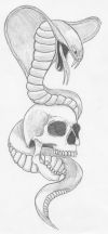 skull snake tat free