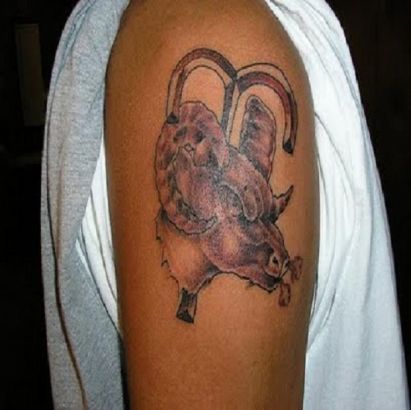 Aries Tattoo Pic On Arm