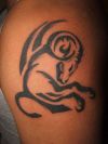 aries tattoo pic on left arm