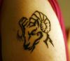tribal aries pic tattoo