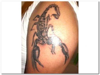 Scorpio Zodiac Tats Design