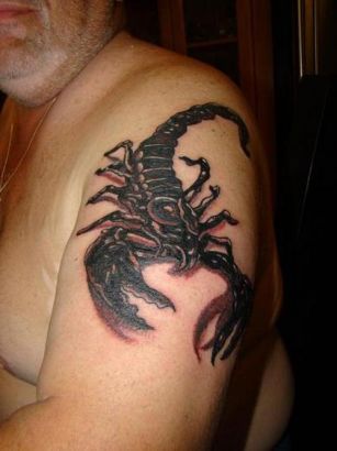 Scorpio Zodiac Image Of Tats