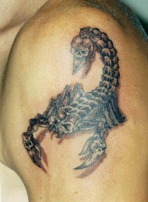 Scorpio Zodiac Pics Of Tats