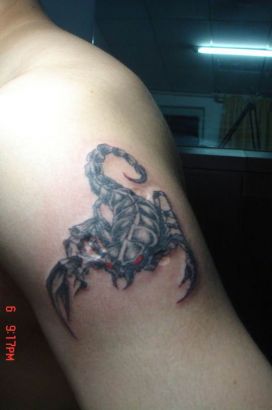 Scorpio Zodiac Tats On Arm