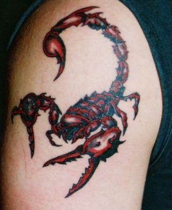 Scorpio Zodiac Tats On Arm