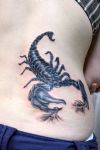 scorpio zodiac tattoos
