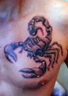 scorpio zodiac tattoo on chest