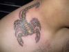 scorpio tat design