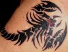 scorpio tats picture design