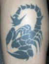scorpio zodiac picture of tats deisgn