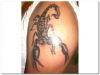 scorpio zodiac tats design