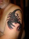 scorpio zodiac image of tats