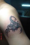 scorpio zodiac tats on arm