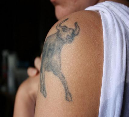 Taurus Pic Tattoo On Shoulder