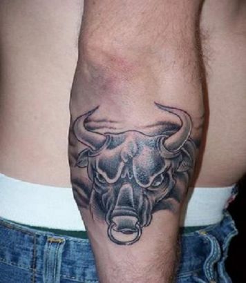 Taurus Tattoos Pic On Arm