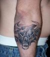 taurus tattoos pic on arm